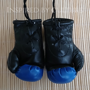Anguilla Flag Mini Boxing Gloves Car Rear View Mirror Decor - Image 3
